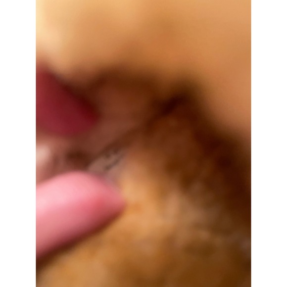 L.L. Bean Wicked Good Shearling Lined Slides Blue 10 Medium Slippes tried on EUC - Picture 8 of 10